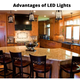 Illustration for article titled Landscape Lighting Broward County